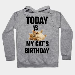 Today Is My Cat's Birthday Funny Cute Cat Saying Hoodie